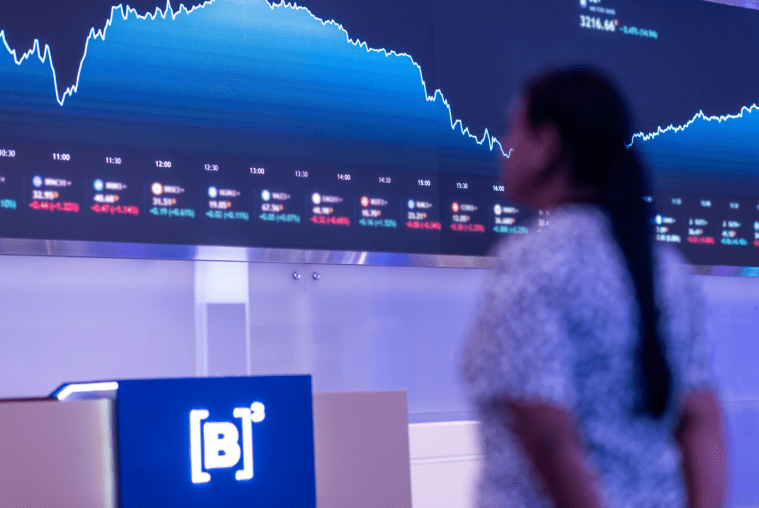 Ibovespa performance