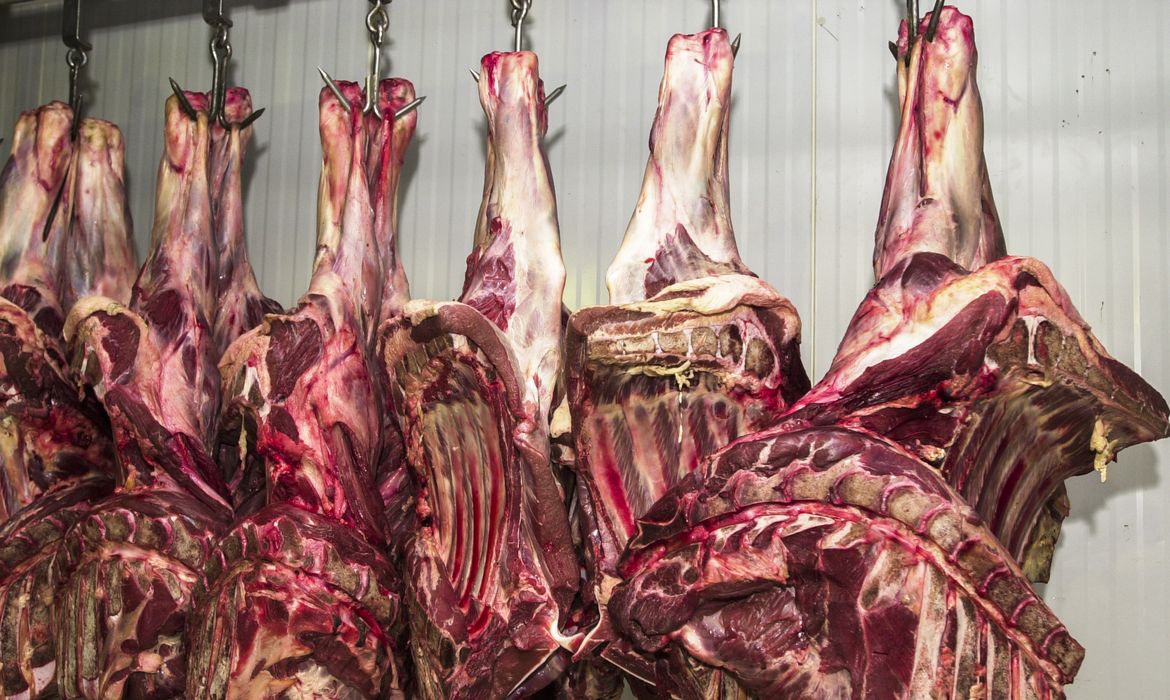 Brazilian beef record
