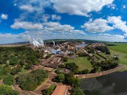 São Martinho (SMTO3) Leads Ibovespa’s Gains After Citi Upgrade