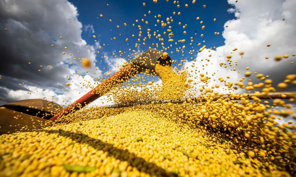 BrasilAgro returns to quarterly profit as sugarcane drags on semester results