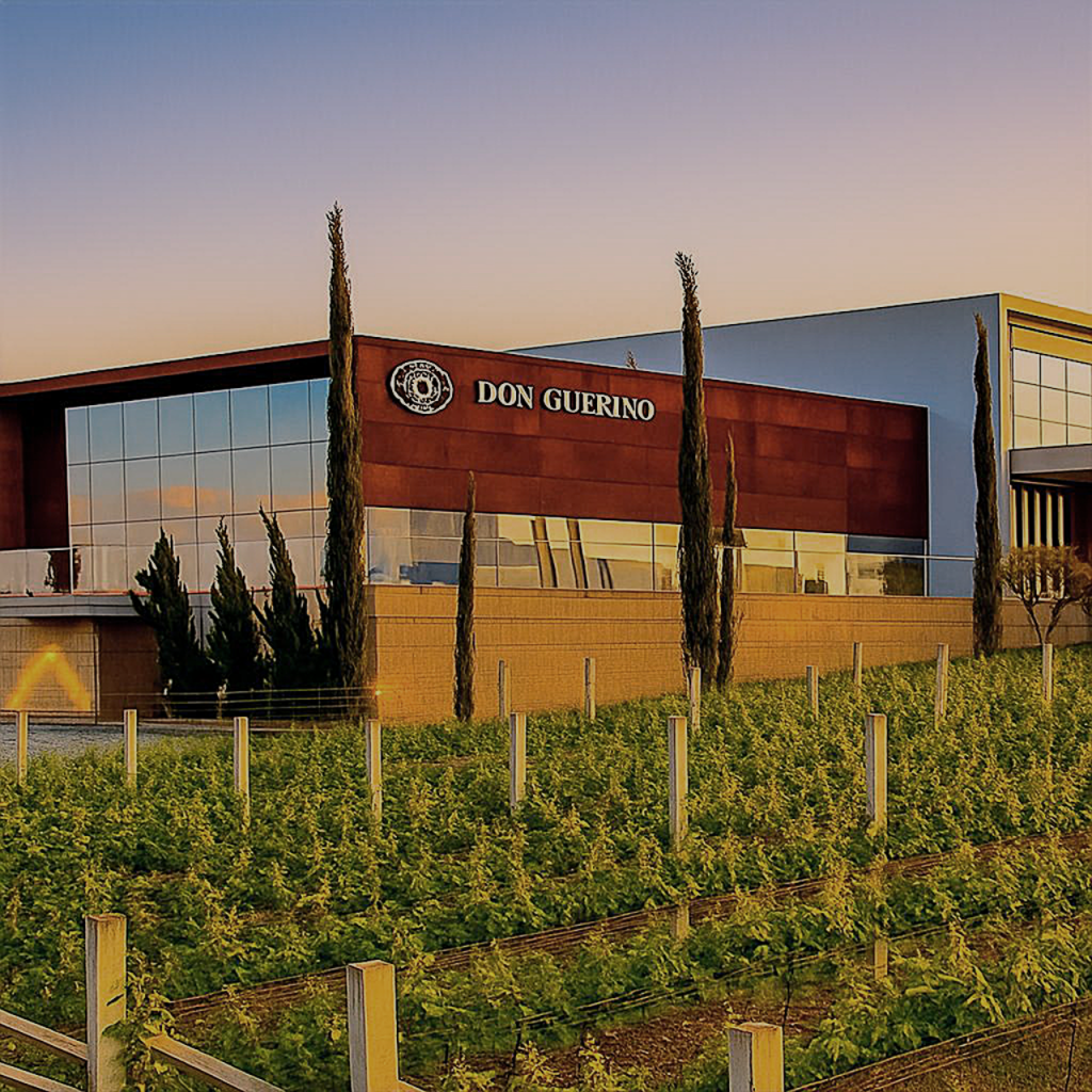 Don Guerino, vinery