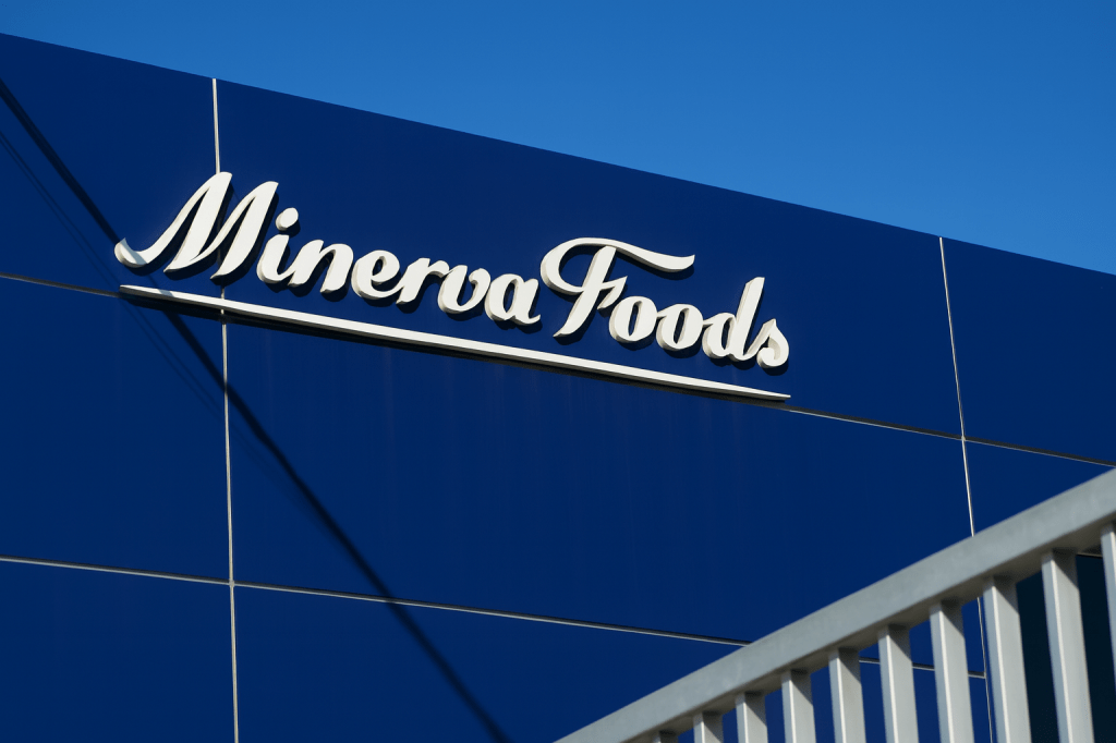 Minerva Results Show R$120 Million Profit and Record Free Cash Flow