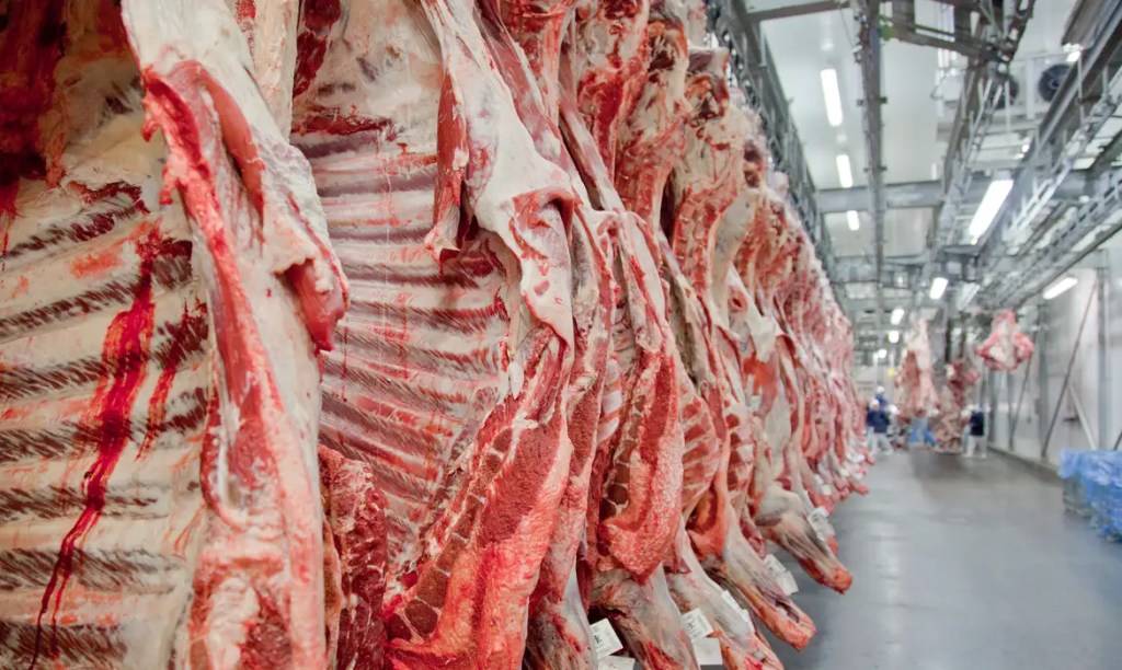 Brazil beef exports to China jump 38% in September