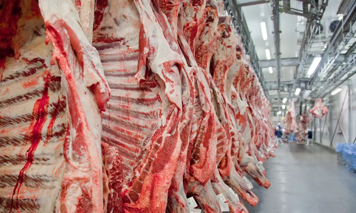 Indonesia Brazilian beef exports