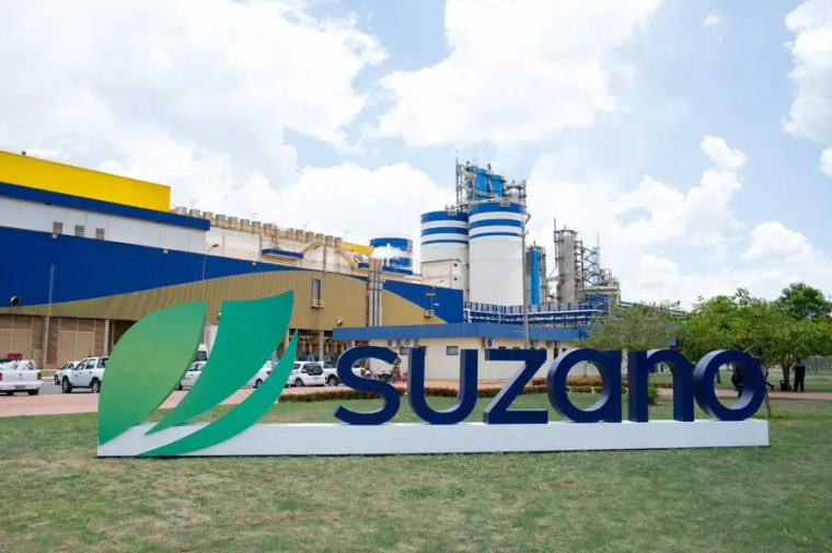 Suzano, pulp, paper