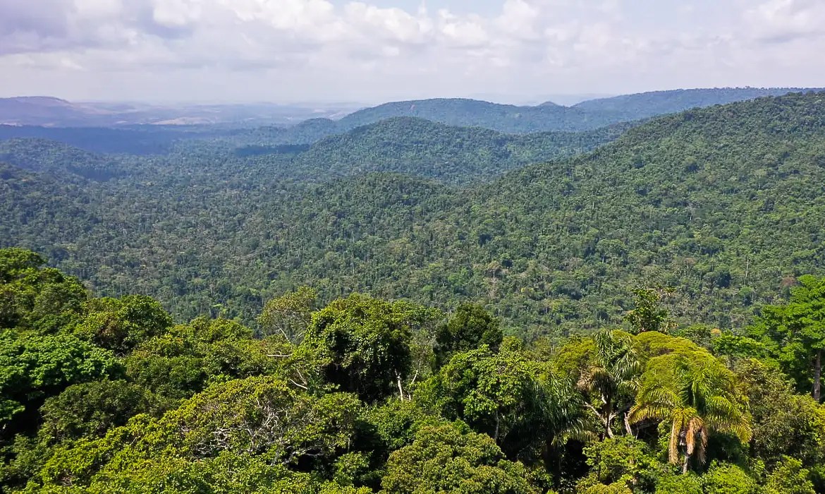 Brazil climate credit