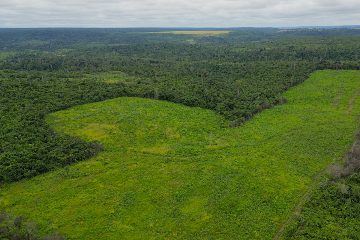 Pátria, Vinci Lead BNDES Climate Call With R$4.3 Billion in Anchor Capital