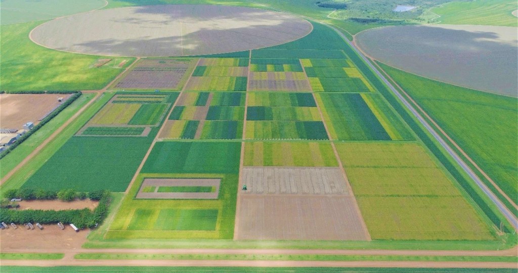 SLC Agrícola Cuts Radar Land Purchase to R$ 669 Million After Deal With Other Lessees