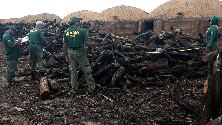 Brazil fines Vetorial Steel $15 million for illegal charcoal use
