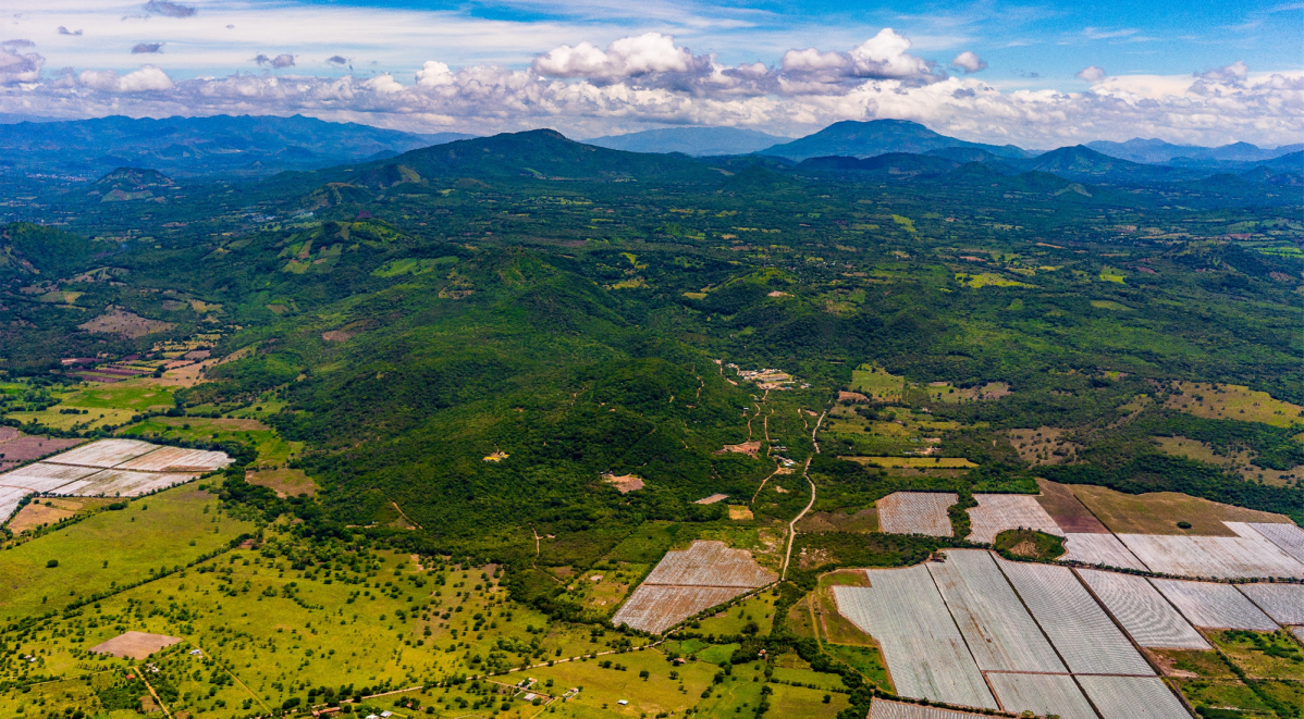 Aura Unlocks Era Dorada as Gold Output Outlook Jumps Above 600,000 Ounces