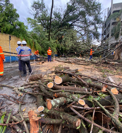Enel Seeks Definitive Blackout Solution as Caducity Risk Looms