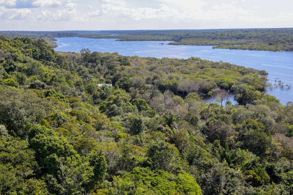 Petrobras, BNDES Pick Amazon Carbon Credit Winners