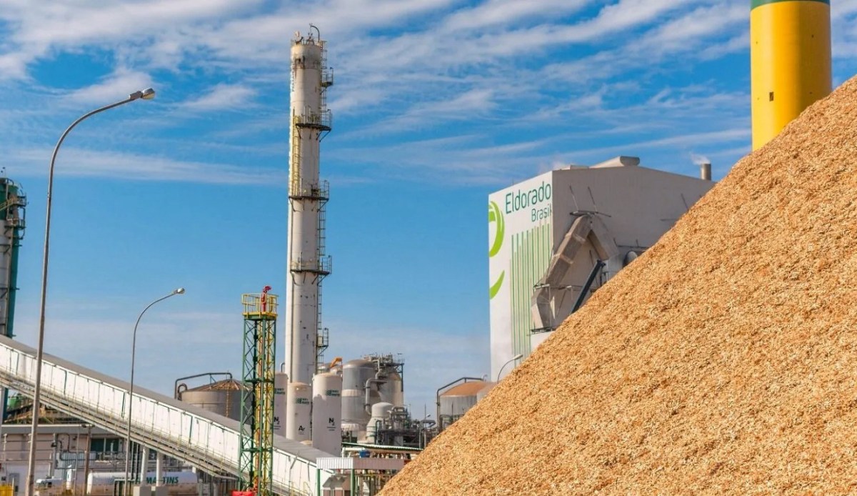BNDES Backs Pulp Rail Link With Brazil’s First Infrastructure Debenture Under New Law