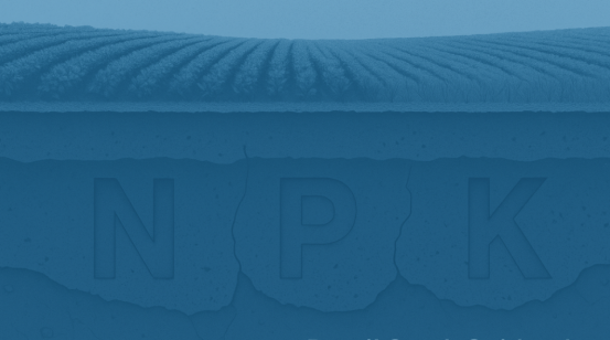 Brazil’s NPK Blind Spot