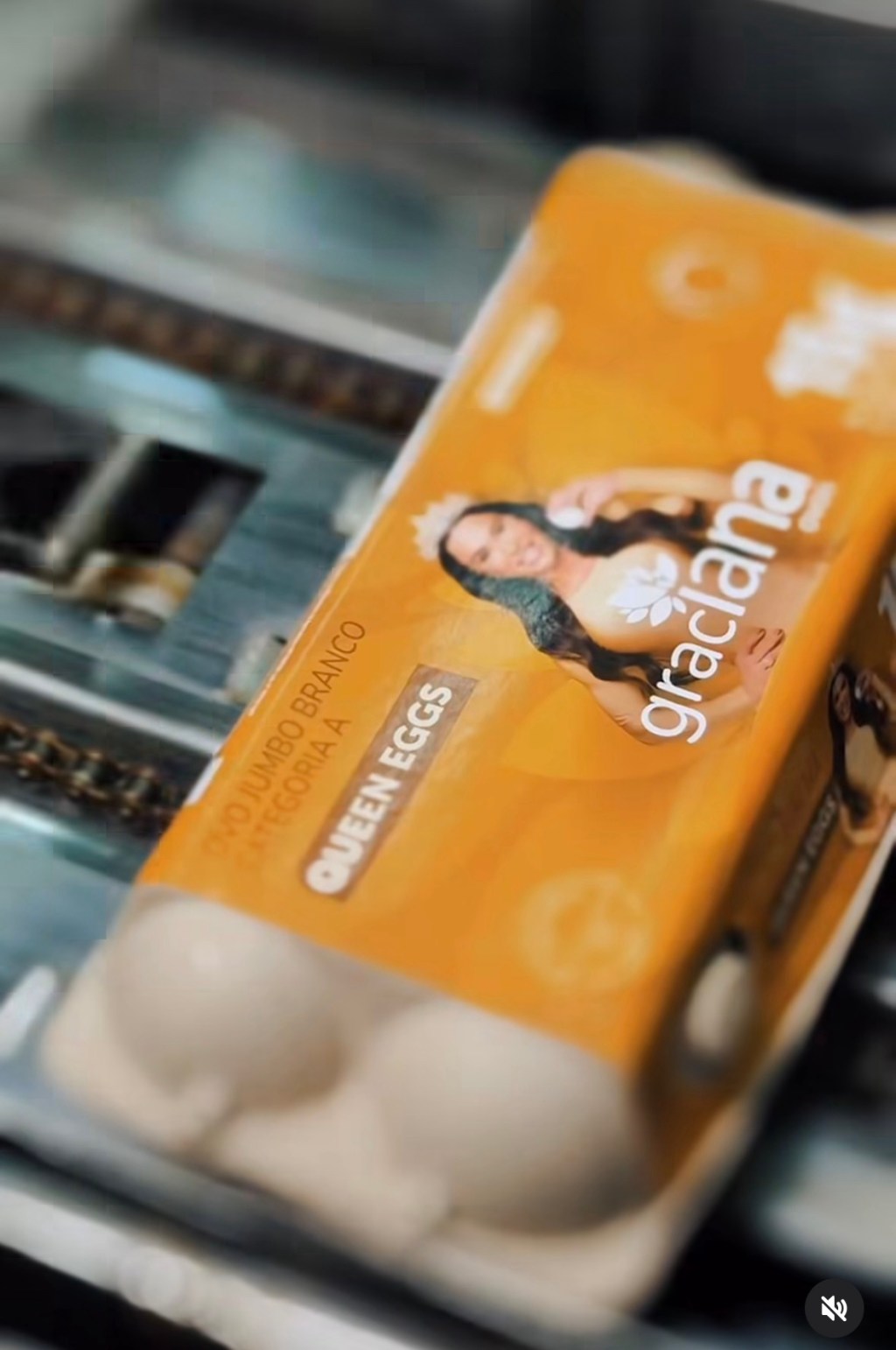 Warburg Pincus to Invest $1 Billion in Brazil’s Global Eggs