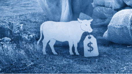 Food security, weak margins