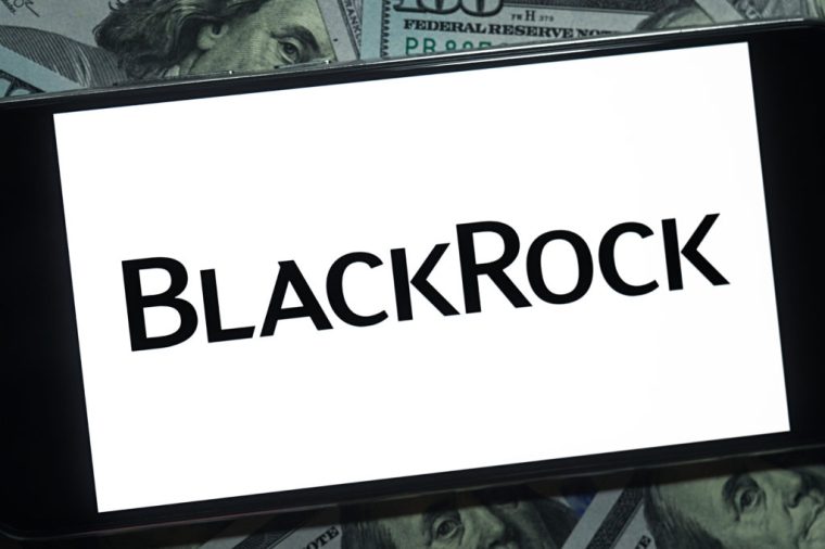 BlackRock Gerdau stake