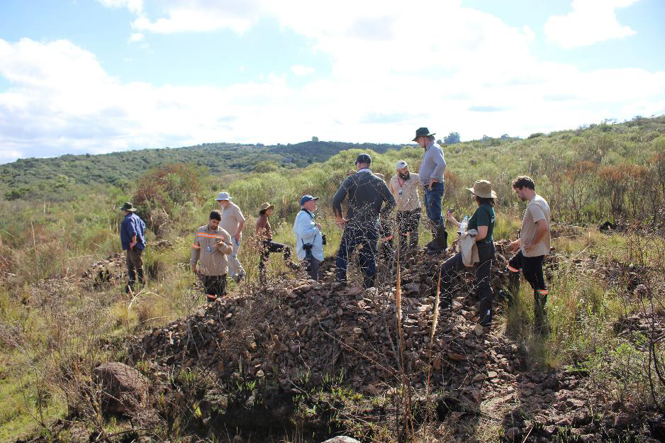 Lavras Gold Pushes Brazil Border-Law Change as Gold Project Advances