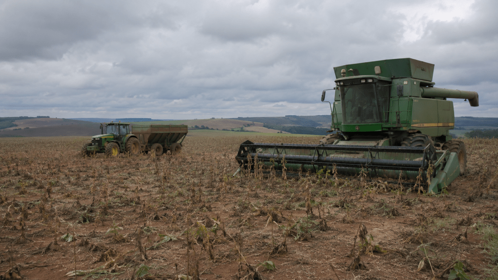 Rural Debt Squeezes Brazil’s Farmers as Land Auctions Rise