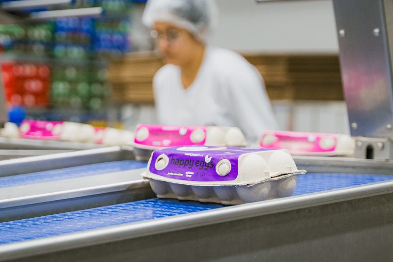 JBS Turns Mantiqueira Into Global Egg Platform With US Expansion and Premium Push